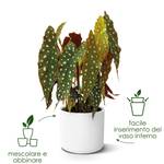 b.for soft round 30cm anthracite